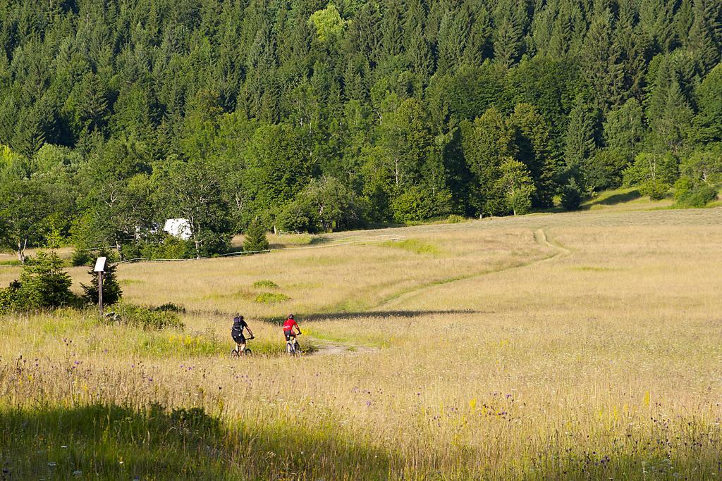 Hotel Bela Krajina Metlika Exteriör bild
