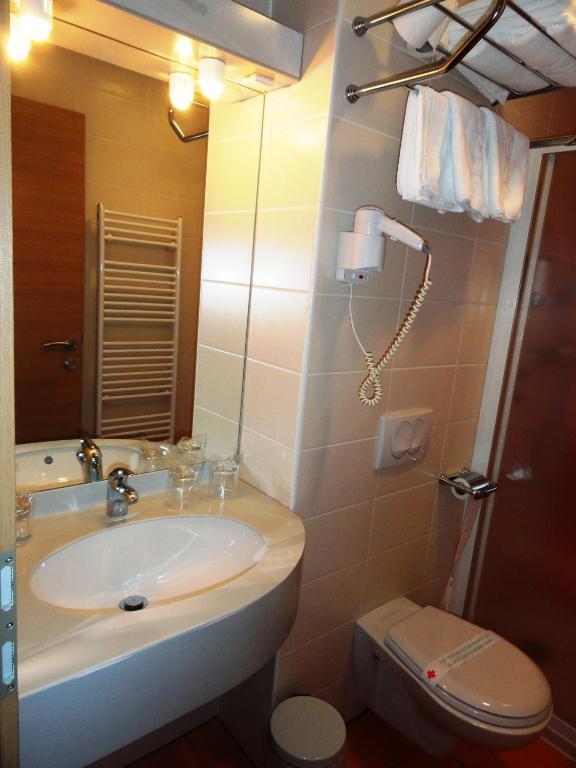 Hotel Bela Krajina Metlika Rum bild