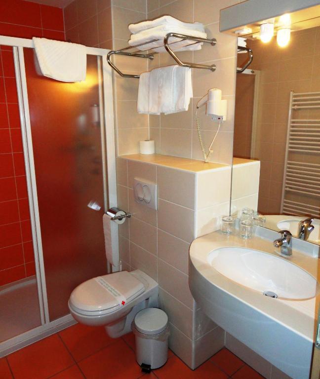 Hotel Bela Krajina Metlika Rum bild